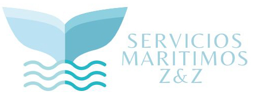serviciomaritimozz.com